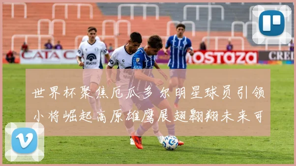 世界杯聚焦厄瓜多尔明星球员引领小将崛起高原雄鹰展翅翱翔未来可期