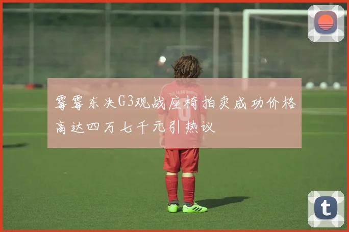 霉霉东决G3观战座椅拍卖成功价格高达四万七千元引热议